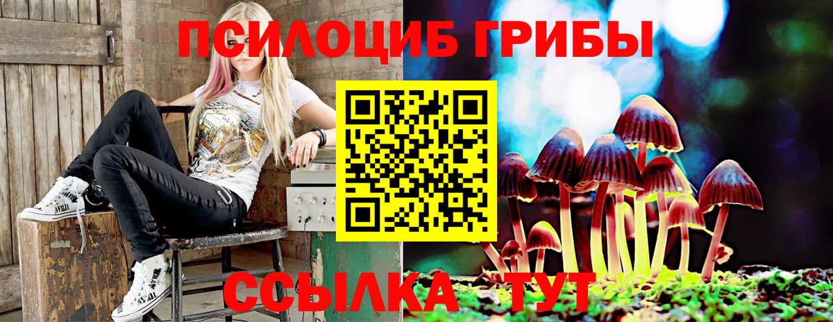 Галлюциногенные грибы Magic Shrooms  как найти закладки  Карпинск  Вход с VPN  Галлюциногенные грибы MAGIC MUSHROOMS 